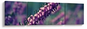 Obraz fioletowego kwiatu (170x50 cm)
