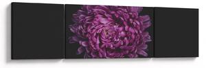 Obraz fioletowego kwiatu (170x50 cm)