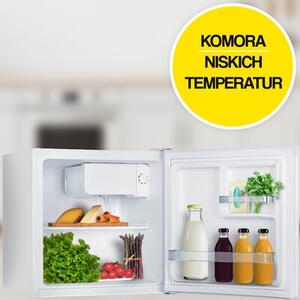 Lodówka AMICA FM050.4(E) 49.6cm Biała