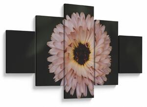 Obraz pomarańczowego kwiatu (125x70 cm)