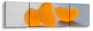 Obraz mandarynek (170x50 cm)