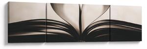 Obraz książki (170x50 cm)
