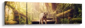 Obraz tygrysa w dżungli (170x50 cm)