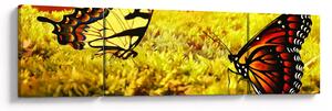Obraz motyli (170x50 cm)