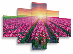 Obraz pole tulipanów ze słońcem (125x70 cm)