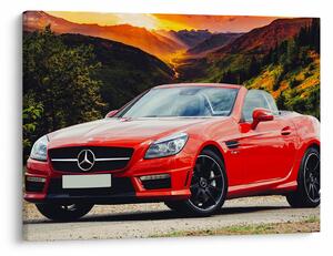 Obraz - czerwony Mercedes (70x50 cm)