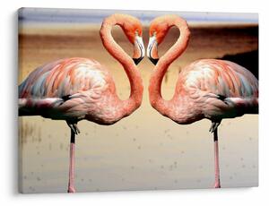 Obraz - dwa flamingi (70x50 cm)