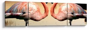 Obraz - dwa flamingi (170x50 cm)