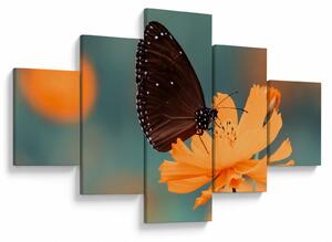 Obraz - motyl na pomarańczowym kwiatku (125x70 cm)