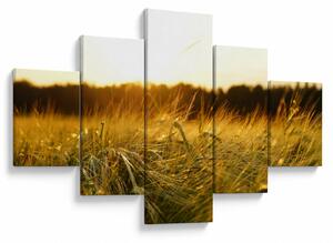 Obraz zroszonej trawy (125x70 cm)
