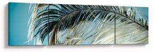 Obraz pióra (170x50 cm)