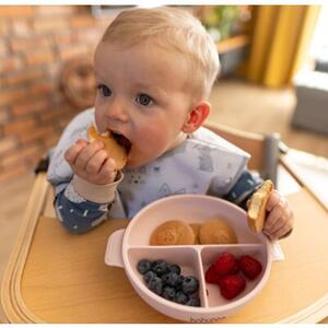 Talerz BABYONO 1661/02 Różowy