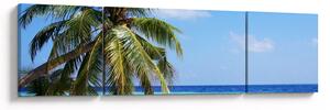 Obraz palmy na plaży (170x50 cm)