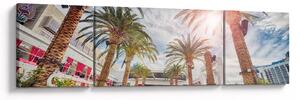 Obraz - palmy z basenem (170x50 cm)