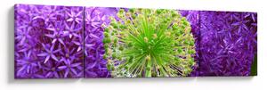 Obraz kwiatu (170x50 cm)