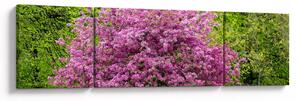 Obraz kwitnącego drzewa na łące (170x50 cm)