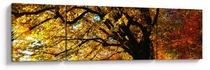 Obraz jesieni (170x50 cm)