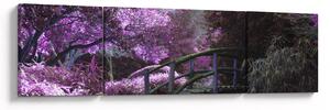 Obraz - fioletowe drzewa (170x50 cm)