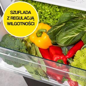 Lodówka HISENSE RB440N4GBE No frost 200.4cm Czarna (szkło) Licowane drzwi Szuflada z niższą temperaturą