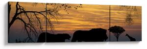 Obraz Safari (170x50 cm)