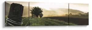 Obraz łąki (170x50 cm)