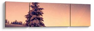 Obraz ośnieżonego drzewa na łące (170x50 cm)