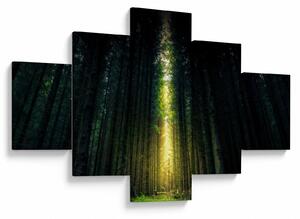 Obraz ciemnego lasu (125x70 cm)