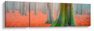 Obraz drzew (170x50 cm)