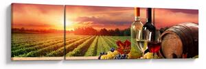 Obraz winnicy z winem (170x50 cm)