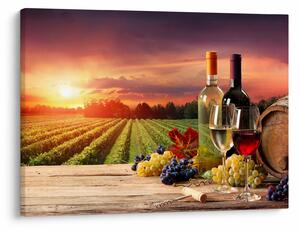 Obraz winnicy z winem (70x50 cm)