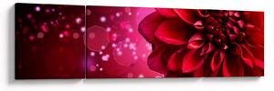 Obraz czerwonego kwiatu (170x50 cm)