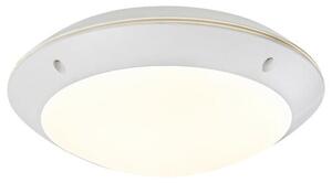 Zewnętrzne lampy sufitowe Lentil LED 8555 Rabalux
