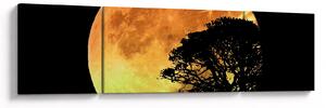 Obraz cieni w świetle księżyca (170x50 cm)