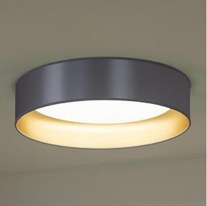 Duolla Duolla - LED Plafon ROLLER LED/24W/230V śr. 45 cm srebrny/złoty DU605311