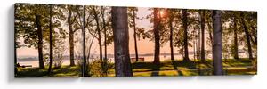 Obraz drzew nad jeziorem (170x50 cm)