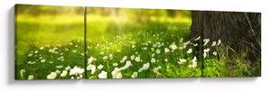 Obraz polany i kwiatów (170x50 cm)