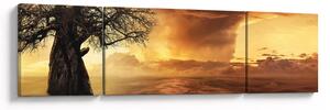 Obraz pomarańczowych chmur (170x50 cm)
