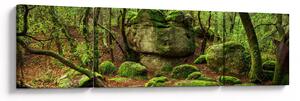 Obraz magicznego lasu (170x50 cm)