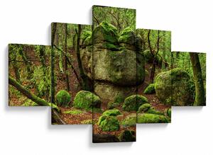 Obraz magicznego lasu (125x70 cm)
