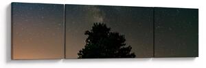 Obraz nocnego nieba z drzewami (170x50 cm)