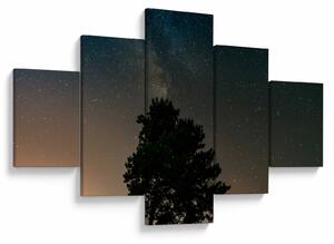 Obraz nocnego nieba z drzewami (125x70 cm)