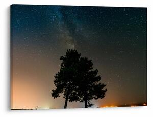 Obraz nocnego nieba z drzewami (70x50 cm)