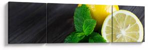 Obraz cytryn i mięty na stole (170x50 cm)