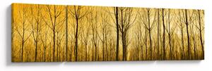 Obraz lasu o zachodzie słońca (170x50 cm)