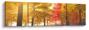 Obraz jesiennych drzew (170x50 cm)