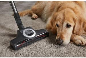 Odkurzacz MIELE Blizzard CX1 Cat & Dog PowerLine SKCF5