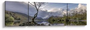 Obraz rzeki z drzewem (170x50 cm)
