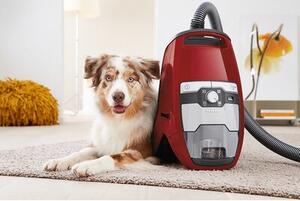 Odkurzacz MIELE Blizzard CX1 Cat & Dog PowerLine SKCF5