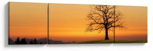 Obraz zachodu słońca na łące (170x50 cm)