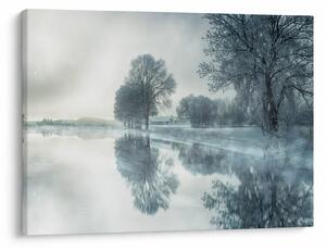 Obraz zimowej natury (70x50 cm)